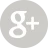 icon-google-plus